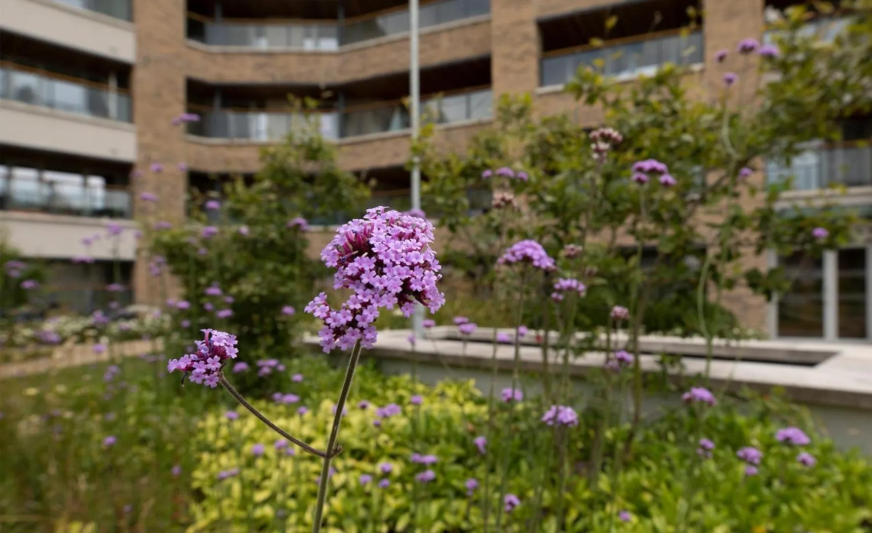 Guestready - Beautiful Apartment On Dublin Coast Ireland